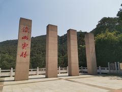 -铁山坪森林公园