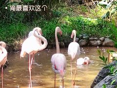 -昆明动物园