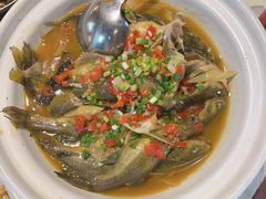 -野渡坡·极致湘菜·庭院餐厅(汉阳店)