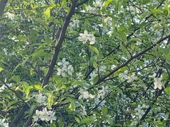 -九里河湿地公园