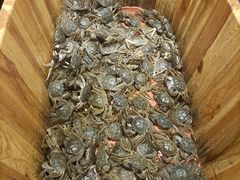 -初色海鲜自助(万丰路店)