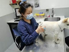 -谐和益家动物医院·免疫绝育·血液透析·宠保定点医院(高新伊藤分院)