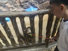 -南昌融创海世界