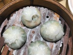 -满福隆酒楼(万绿园店)