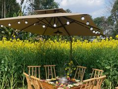 -中国天府农业博览园