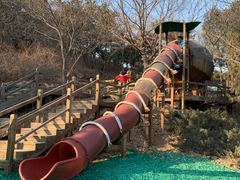 -北京西山国家森林公园