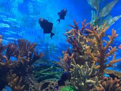 -多彩贵州城极地海洋世界