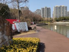 -南翔镇银翔湖公园
