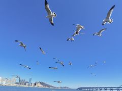-黑石礁公园