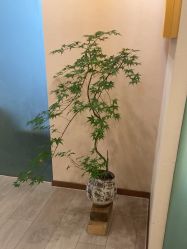 -AIST爱思特医疗美容医院