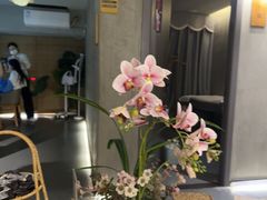 -施奈儿.洗头頭療.按摩SPA.采耳(上梅林店)