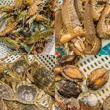 哈尔滨｜一嗦入魂‼️龙虾牛肉面申请出战🦞