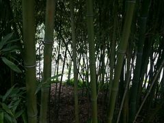 android_upload_pic-紫竹院公园冰场