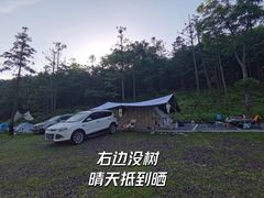 -武陵山森林公园