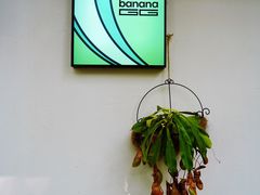 门面-bananaGG(襄阳南路店)