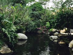 -台山颐和温泉城