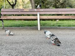 -加泰罗尼亚广场