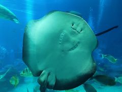 -珠海长隆海洋王国