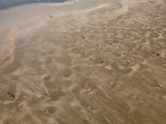 -东海半边山旅游度假区