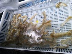 -盒马鲜生(馥邦国际店)