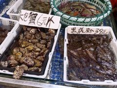 -厦门轮渡码头