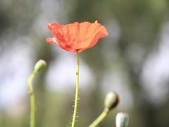 -城市运动公园(未央区)