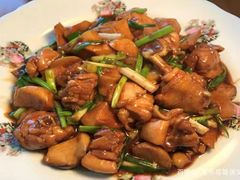 -大班家政月嫂育儿嫂(深圳NO.1店)