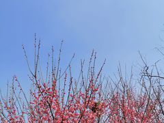 -良渚古城遗址公园