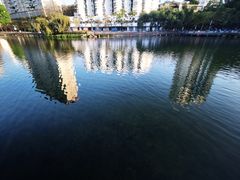 -四海公园(南山区)
