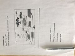 -环球雅思·托福·ALevel·OSSD·DSE·留学英语培训学校(体育西校区)