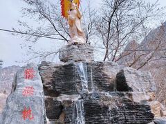 -大岭沟猕猴桃谷风景区