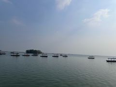 -焦岗湖旅游度假区