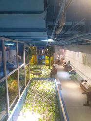 -KidSteam儿童乐园(富力城店)