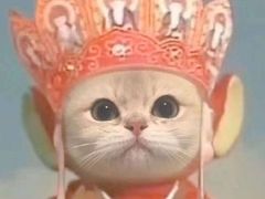 -MADFIT迈非健身(阳光天地店)