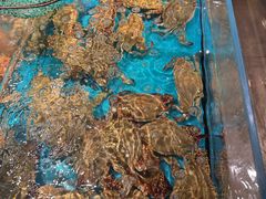 -拉完海鲜大排档(温岭店)