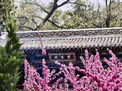 -潭柘寺景区