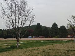 -秦始皇帝陵博物院-丽山园