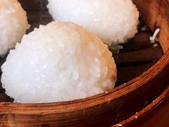 茨毛圆子-双塔老饭店