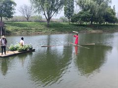 -泗洪洪泽湖湿地景区