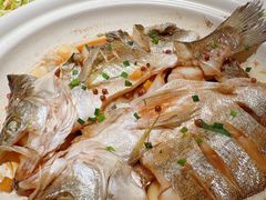 -单家老院·院子里的青岛菜(沙子口店)