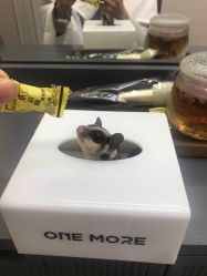 -ONE MORE变画
