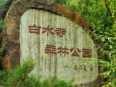 -白水寺森林公园