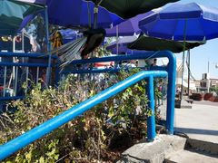 -水上乐园·欢乐世界