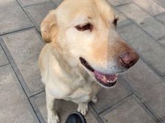 -如家旗下-西安高新区西部大道阳光城华驿酒店