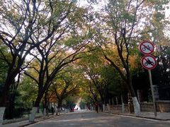 android_upload_pic-八大关景区