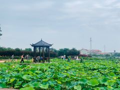 -武汉紫薇都市田园