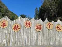 -林坑古村落