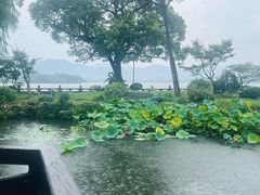 -杭州西湖柳莺里酒店·闻莺厅