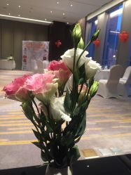 -南宁中心永恒皇冠假日酒店·宴会厅
