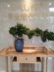 -奥本瑜伽·普拉提